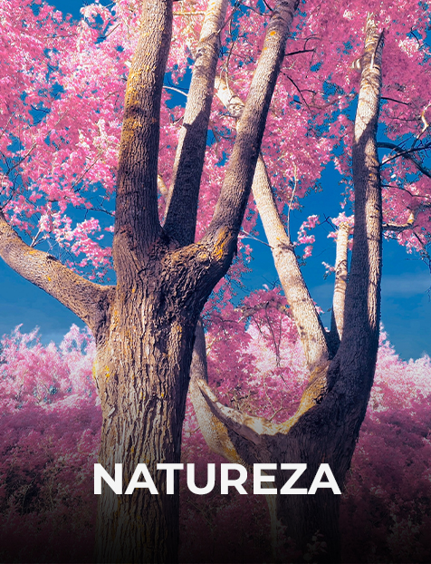 Natureza